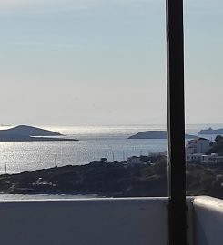 Amorani